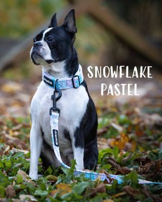 V našem autorském designu Snowflake Pastel nabízíme obojek, přepínací vodítko, klasické vodítko, couračku nebo také...